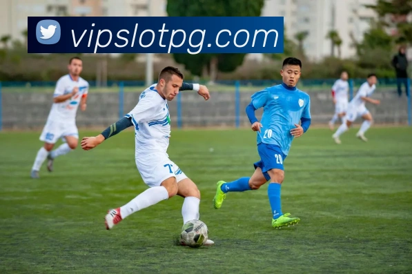 pg官网平台生态图